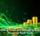 Preventing Fraud and Managing Risk With Financial Tech Tools