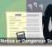 Tax Notice or Dangerous Scam?